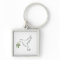Peace dove with olive branch