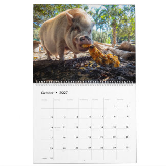 Peace Farm Sanctuary 2027 Calendar