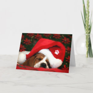 Peace Greeting  Card