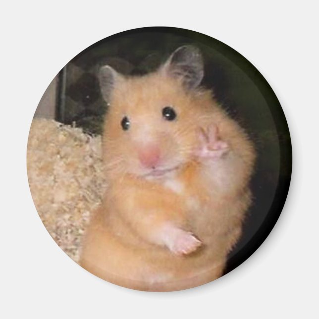 Peace Hamster Meme Magnet (Front)