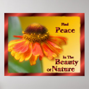 Peace In Nature Zinnia Flower Inspirational Poster