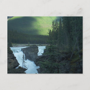 Peace in the Rockies Postcard