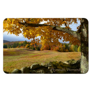 Peace In Vermont Magnet