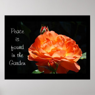 Peace is found in the Garden Fine Art Prints Roses