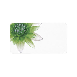 Peace l Beautiful Green Lotus Blank Labels
