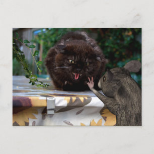 Peace! Let Us Be Friends Postcard