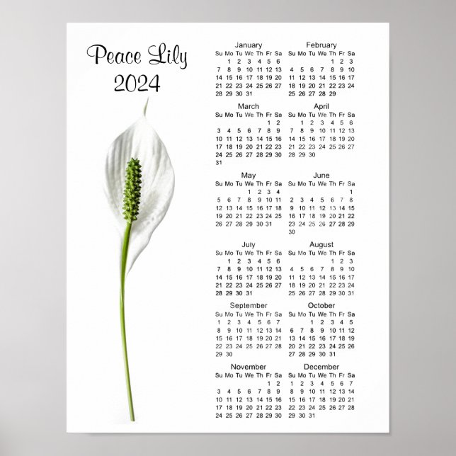 Peace Lily Design 2024 Calendar Poster (Front)