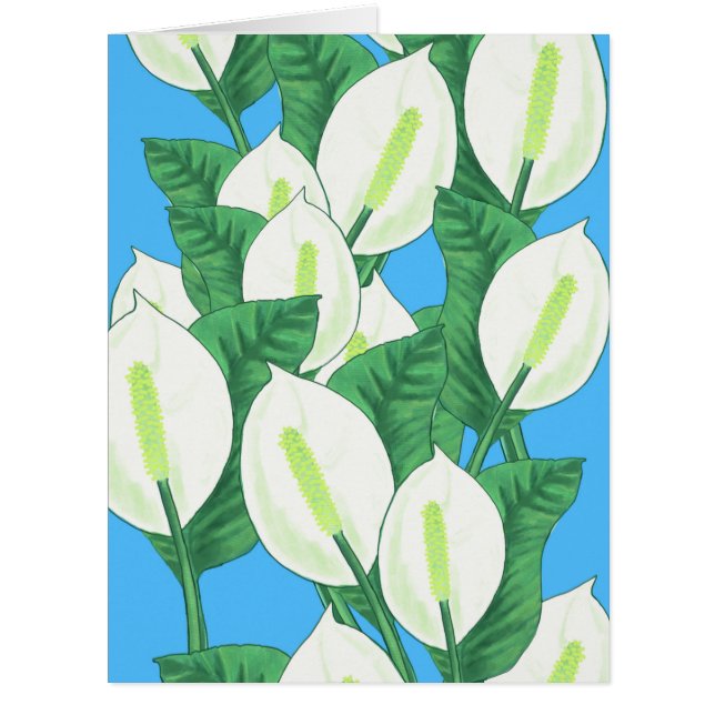 Peace Lily Illustration  (Front)