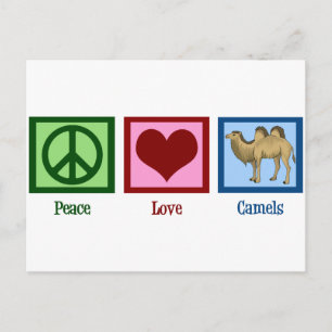 Peace Love Camels Postcard