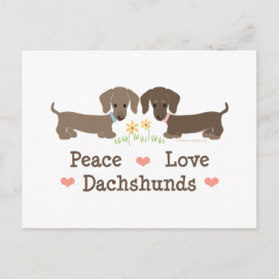 Peace Love Dachshunds Postcard