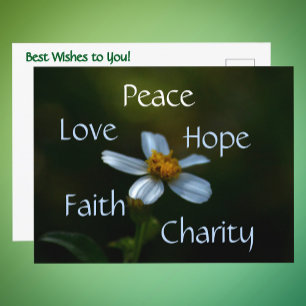 Peace Love Hope Faith Charity Daisy Floral Postcard