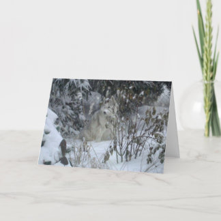 Peace Love Joy Dog Christmas Card