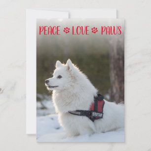 Peace Love Paws Photo Red Christmas Flat Card