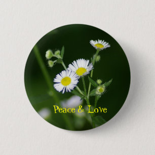 Peace & Love Pin