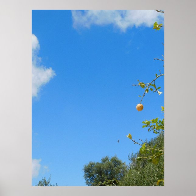 Peace of Eco Poster (Front)