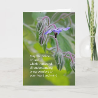 Peace of God Sympathy Card (Borage)