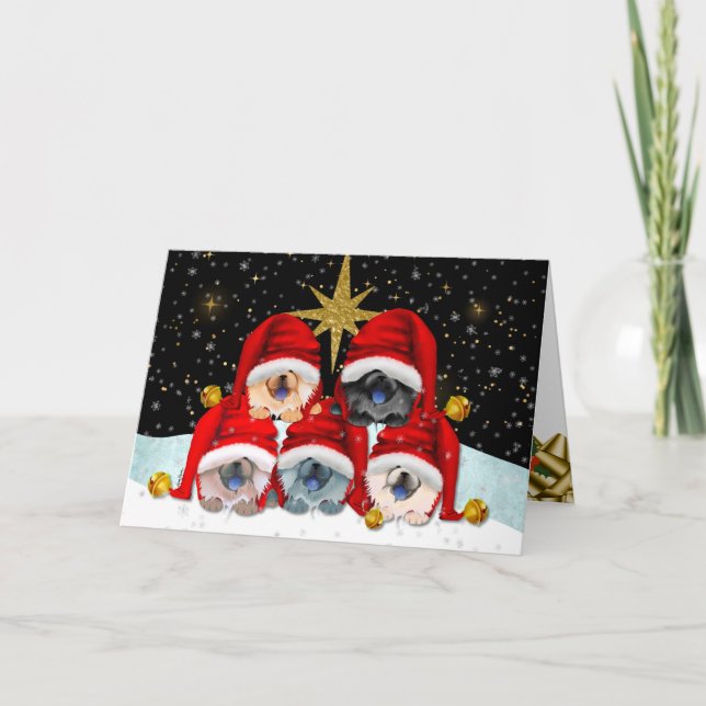 PEACE ON EARTH Chow art cards (Front)