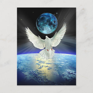 Peace on Earth Dove of Peace Postcard