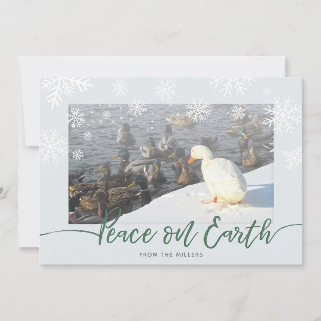 Peace on Earth Ducks Holiday Card (Front)
