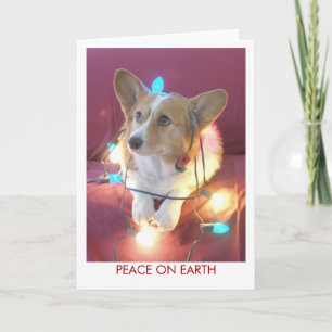 Peace on Earth Holiday Card