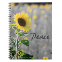 "Peace" Phrase, Field of Sunflowers, Black & White