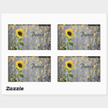 "Peace" Phrase, Field of Sunflowers, Black & White