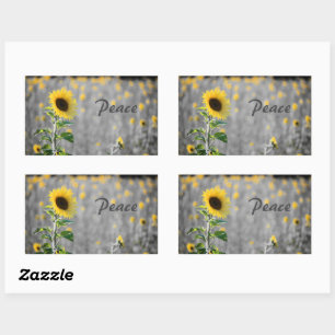 "Peace" Phrase, Field of Sunflowers, Black & White Rectangular Sticker