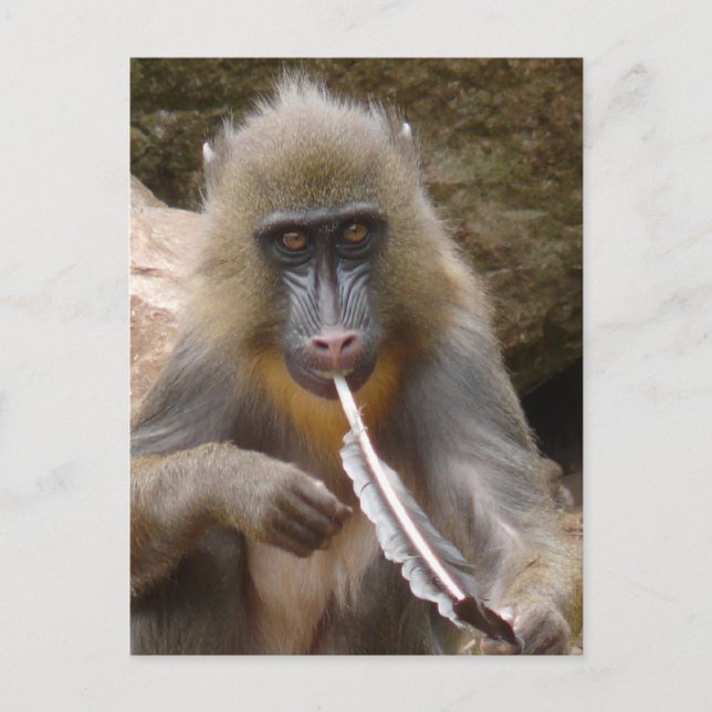 Peace pipe postcard (Front)