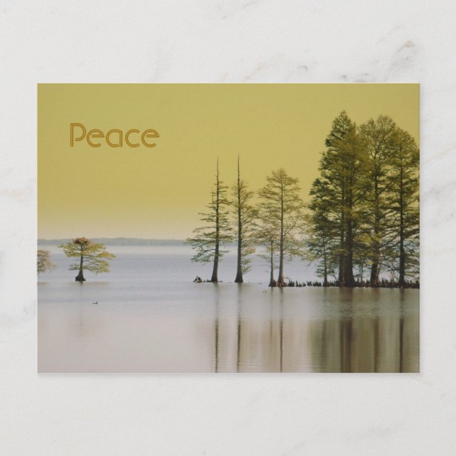 Peace Postcard (Front)