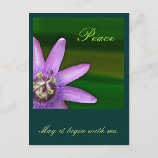 Peace Postcard