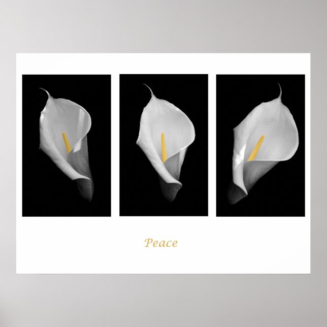 Peace Poster (Front)