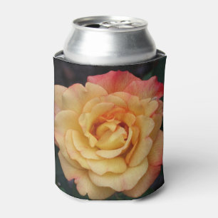Peace Rose Beautiful Pink and Yellow Floral Can Cooler