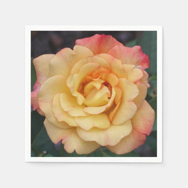 Peace Rose Beautiful Pink and Yellow Floral Napkin (Front)