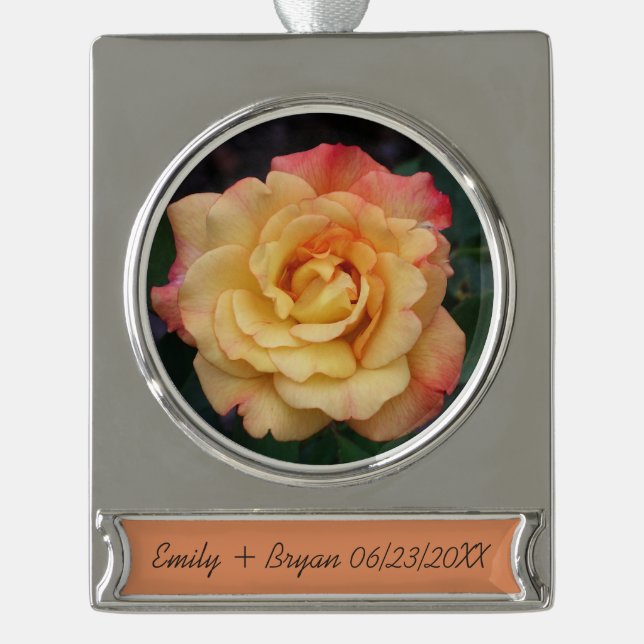 Peace Rose Beautiful Pink and Yellow Floral Silver Plated Banner Ornament (Front)