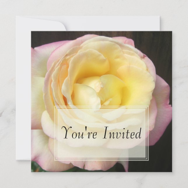 Peace Rose Invitations (Front)