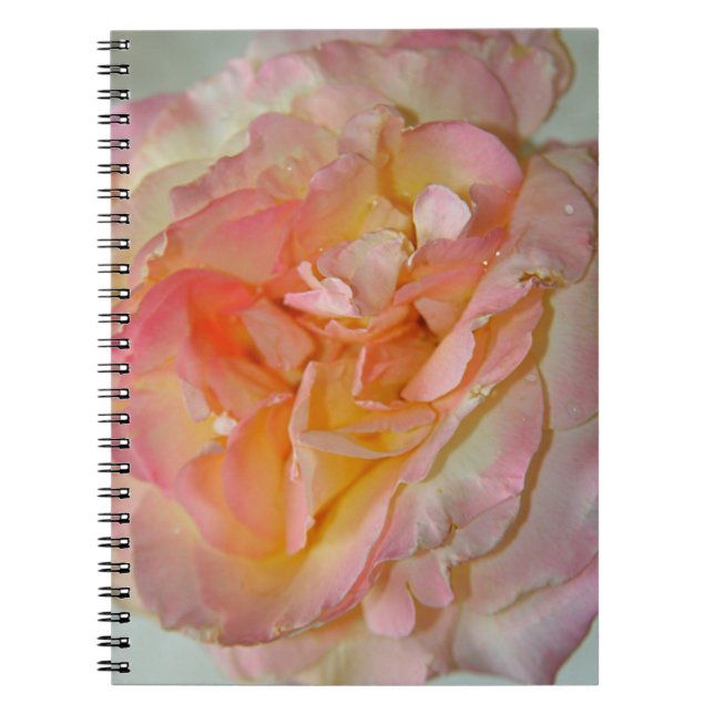 Peace Rose  Notebook (Front)