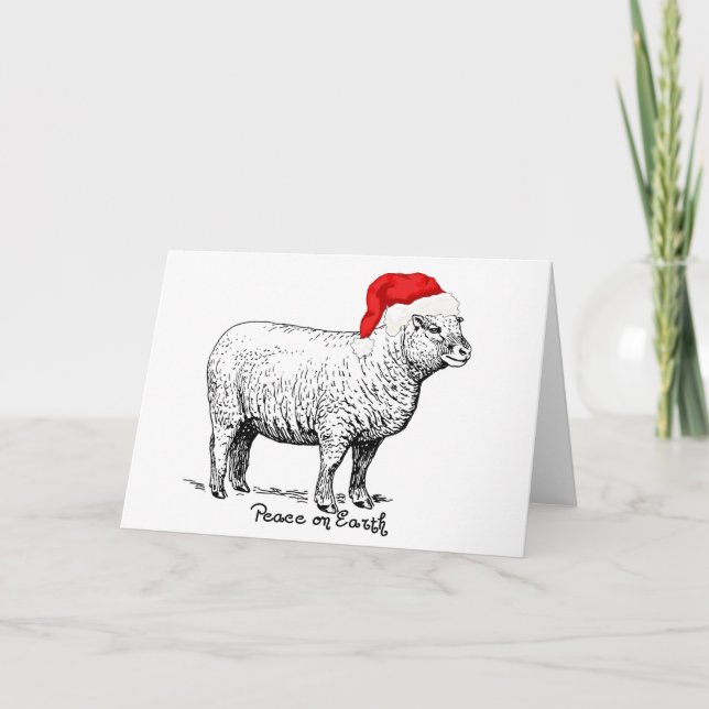 Peace Sheep Holiday Card (Front)