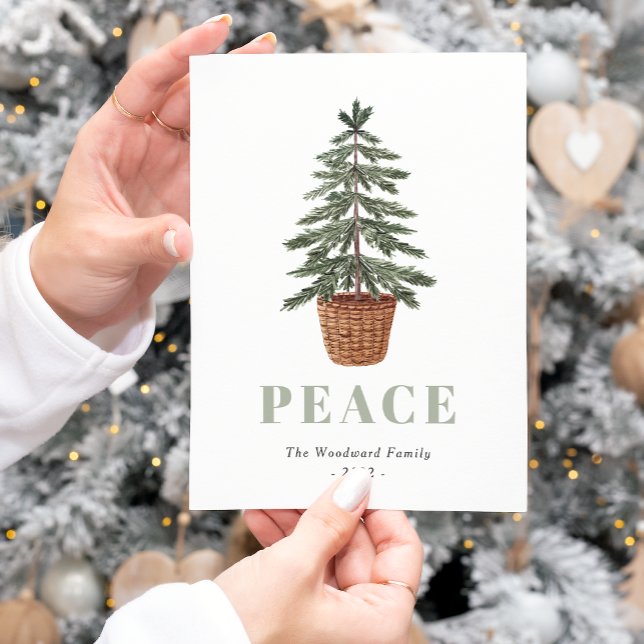 Peace Simple Christmas Evergreen Tree Holiday Postcard (Creator Uploaded)
