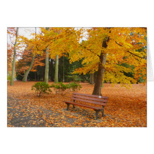 Peaceful and Quiet Autumn in the Park