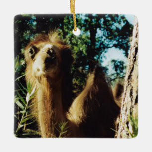 Peaceful Baba Ceramic Ornament