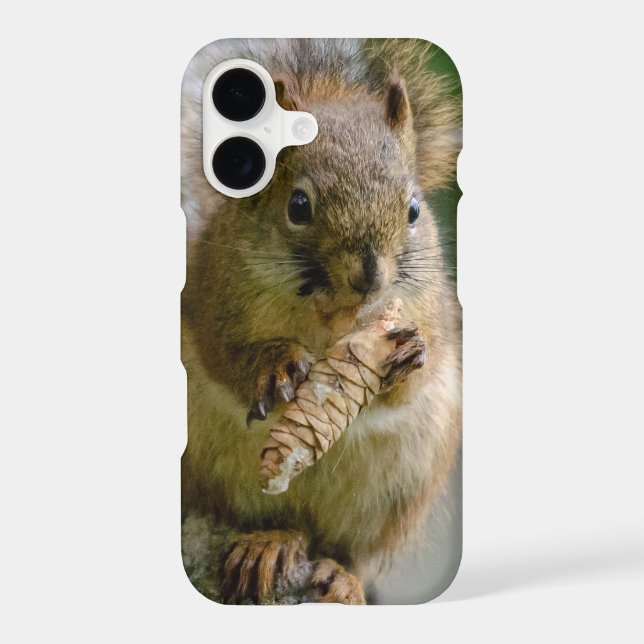 Peaceful Brown Squirrel in the Wild (Back)