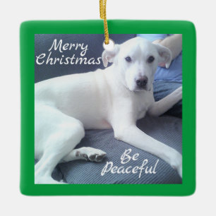 Peaceful Cute White Dog Sitting With Dad Green Ceramic Ornament