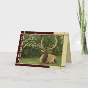 Peaceful Elk Natures Greetings Holiday Card