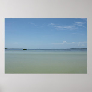 Peaceful Everglades Poster