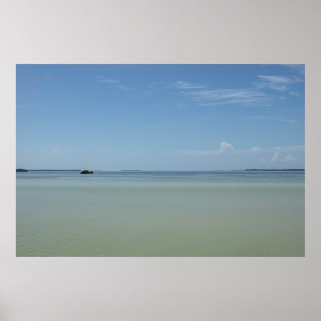 Peaceful Everglades Poster (Front)