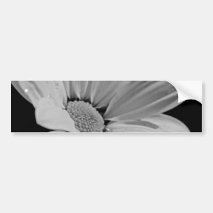 Peaceful Floral Bumper Sticker