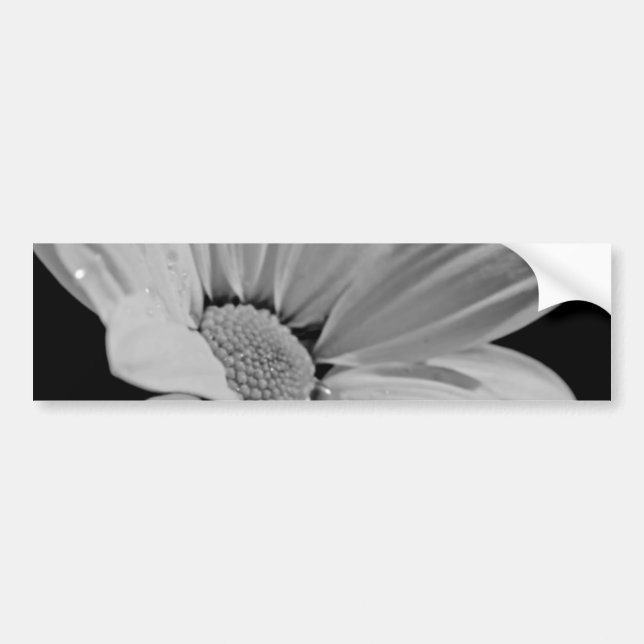 Peaceful Floral Bumper Sticker (Front)