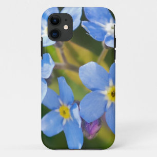Peaceful Floral Forget Me Not iPhone 11 Case