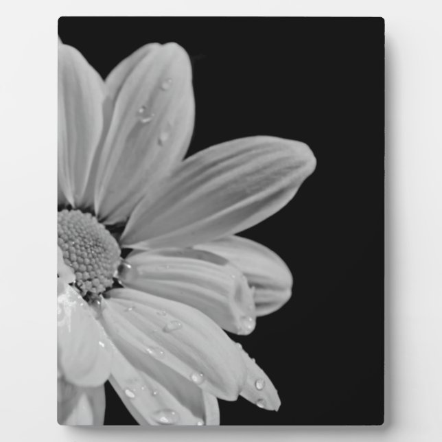 Peaceful Floral Plaque (Front)