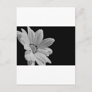 Peaceful Floral Postcard